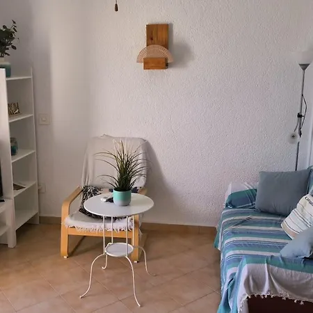 Oasis Apartment